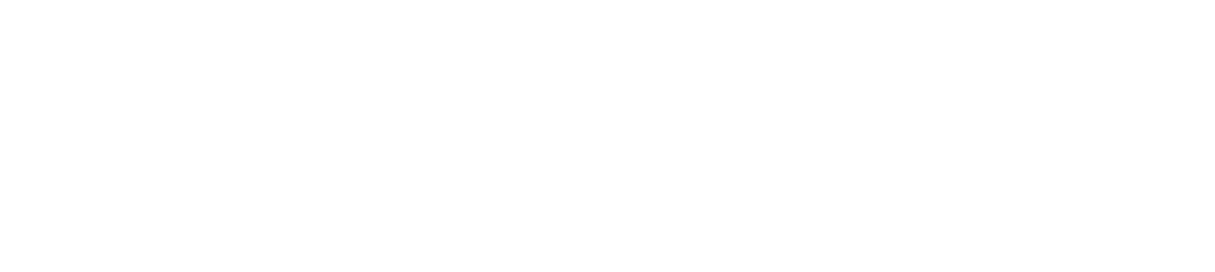 Transindo Global